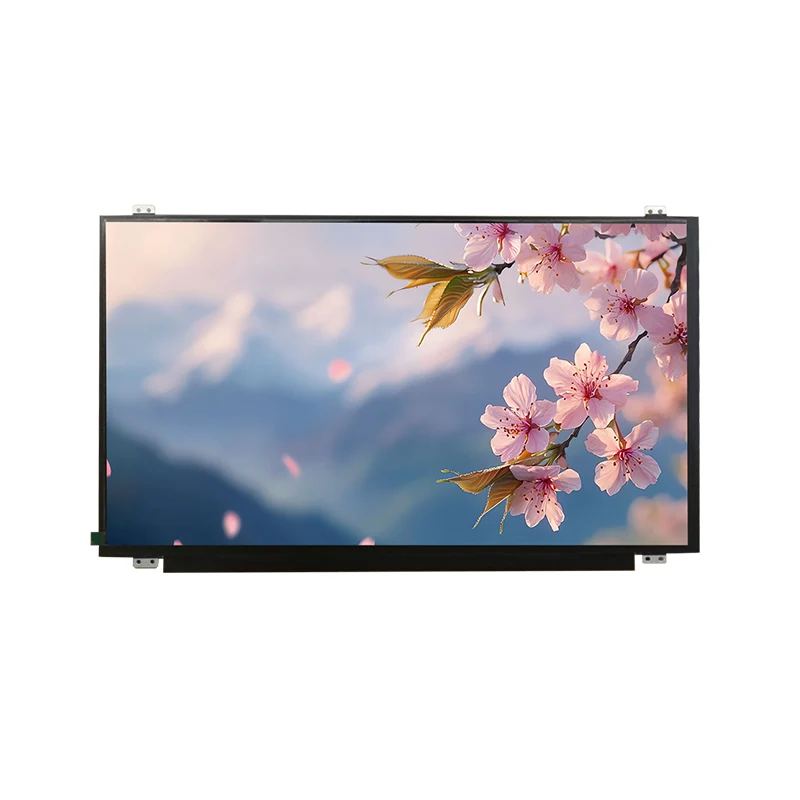 15.6 'HD bred temp IPS TFT LCD -skærmmodul