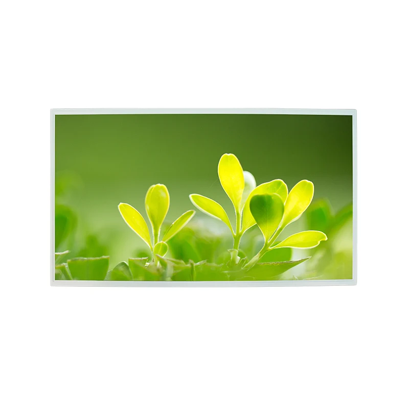 21.5 'Høj lysstyrke FHD IPS Color TFT LCD Display Module
