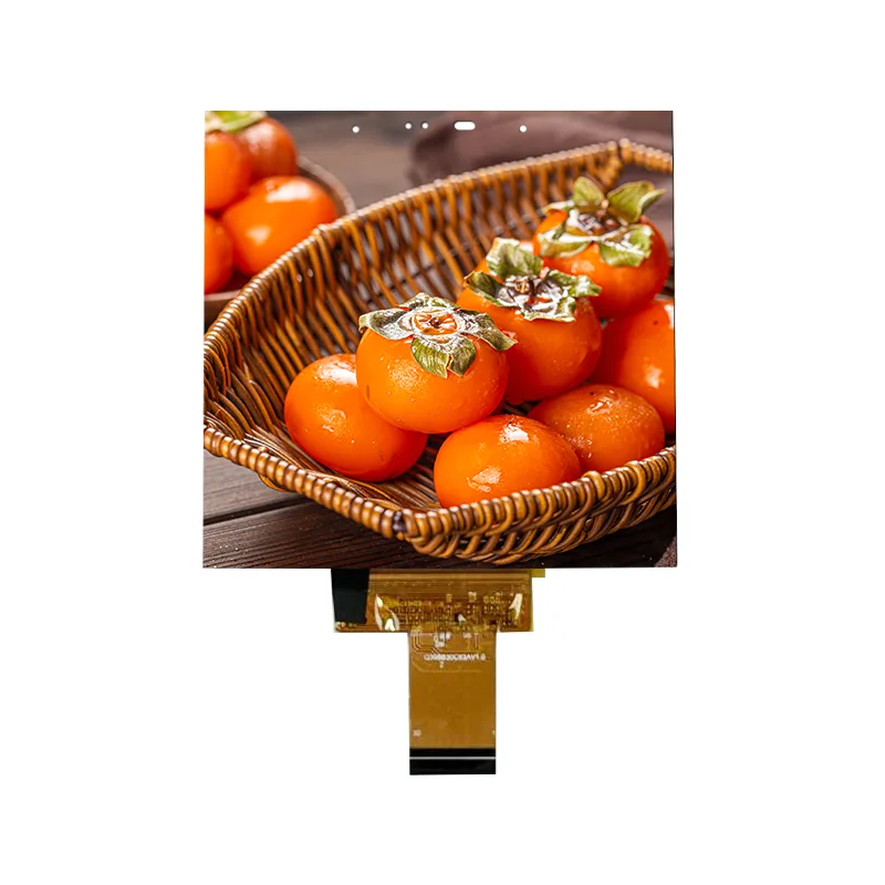 3,95 tommer lille størrelse IPS In-cell Touch Screen Modul til Smart Home 3,95 tommer lille størrelse IPS In-cell Touch Screen Modul til Smart Home