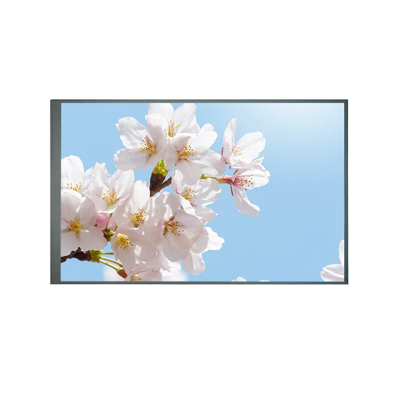8,0 tommer normalt tilbage TFT IPS TFT LCD -skærmmodul